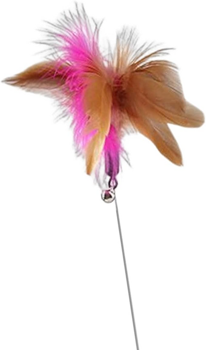 Feather Teaser Toy