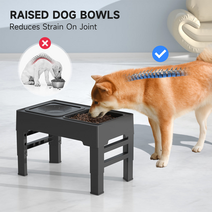 Elevated Dog Bowls