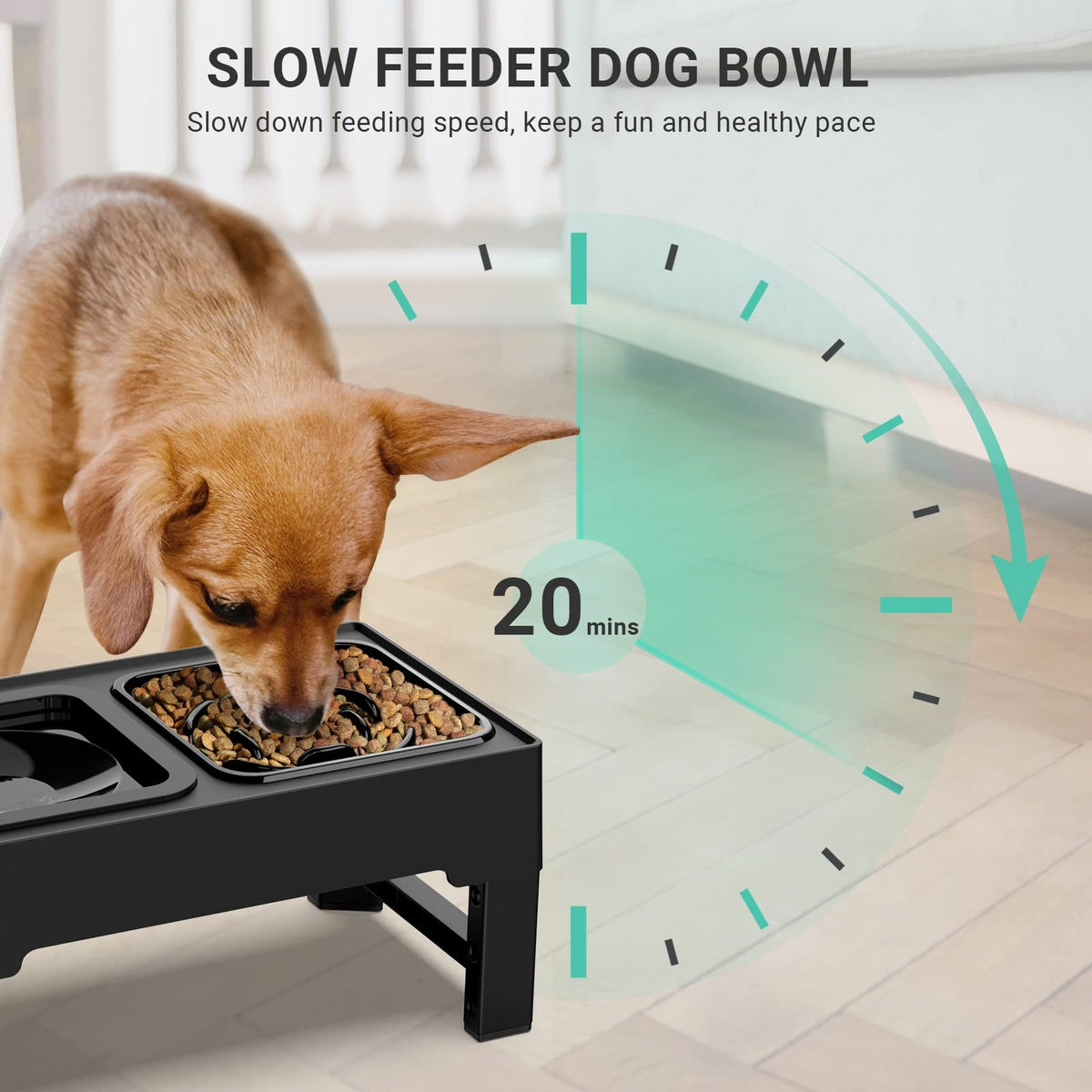 Elevated Dog Bowls