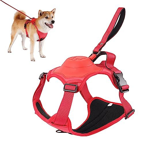 All-in-One Adjustable Dog Harness Set