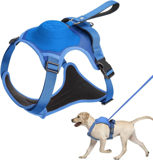 All-in-One Adjustable Dog Harness Set