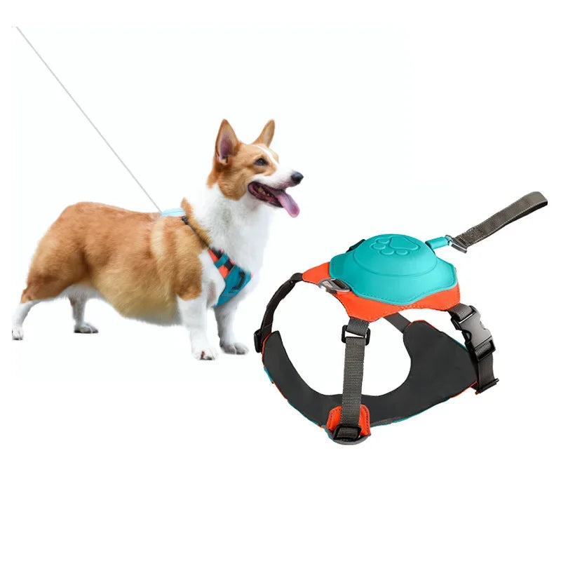 All-in-One Adjustable Dog Harness Set