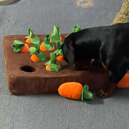 Vegetable Chew Toy