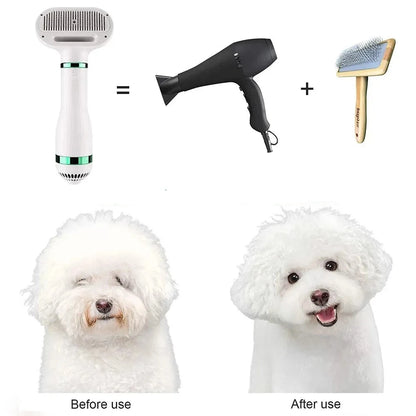 2-in-1 Pet Hair Dryer