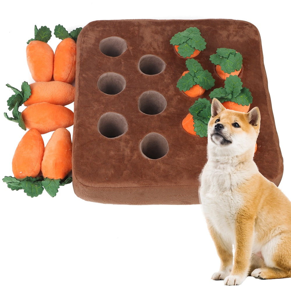 Vegetable Chew Toy