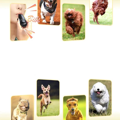 Frequency Dog Recall Clicker