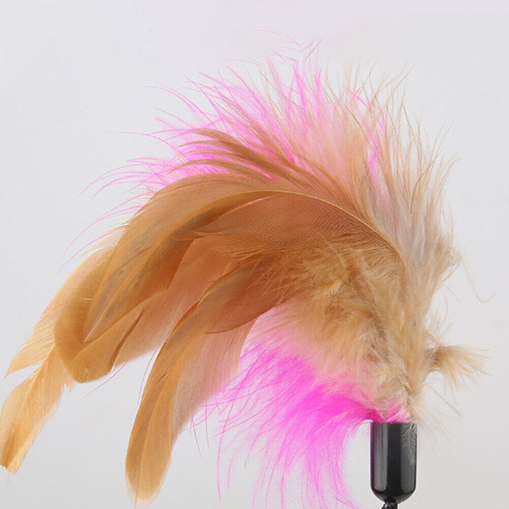 Feather Teaser Toy